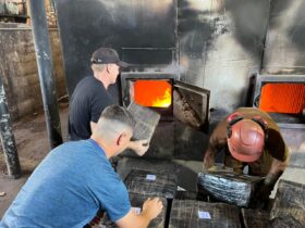 Imagem do WhatsApp de 2025 12 05 as 09.55.43 e12d6d62