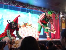 Imagem do WhatsApp de 2025 12 11 as 11.14.17 8f5547e1