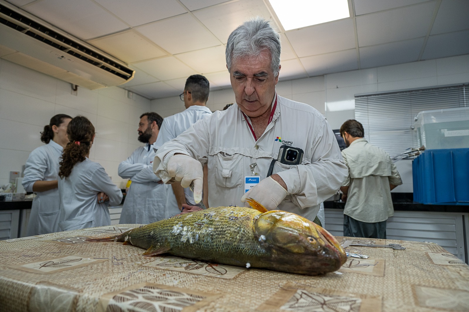 Itaipu capacita técnicos em cirurgia de peixes para monitoramento inédito 1 Imagem do WhatsApp de 2025 12 15 as 11.25.18 e35f9910