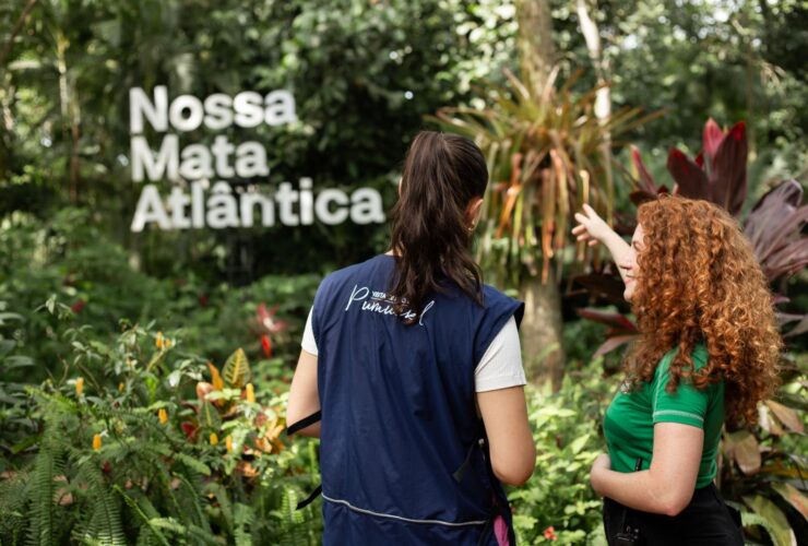 Imagem do WhatsApp de 2025 12 15 as 18.57.09 c8dadb23