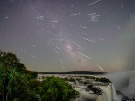 Imagem do WhatsApp de 2025 12 16 as 09.12.54 6cd2e474