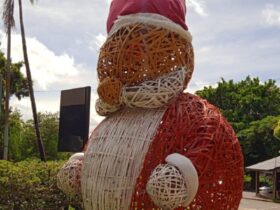 WhatsApp Image 2025 12 16 at 10.24.49 1140x570 1