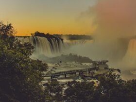 WhatsApp Image 2025 12 17 at 11.48.32