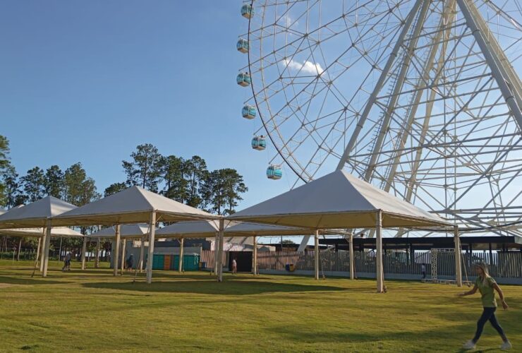 WhatsApp Image 2025 12 18 at 11.57.54