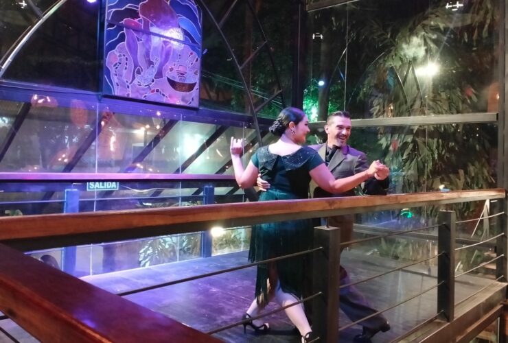 WhatsApp Image 2025 12 19 at 11.45.03