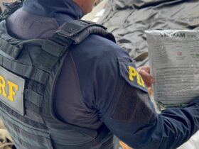 WhatsApp Image 2025 12 24 at 10.29.51