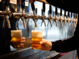 creditos 277 craft beer