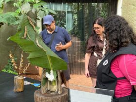 ef43613c 2d7b 46c7 a44e 495ea0d91309