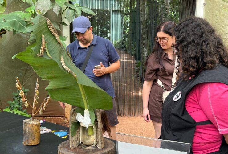 ef43613c 2d7b 46c7 a44e 495ea0d91309