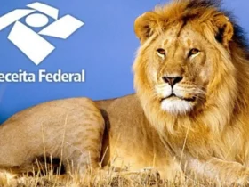 leao ir 1561409432293 v2 900x506.jpg