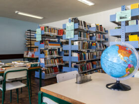 lucas fermin estrutura 0997