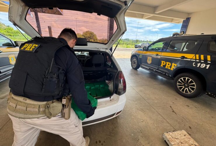 maconha alto paraiso