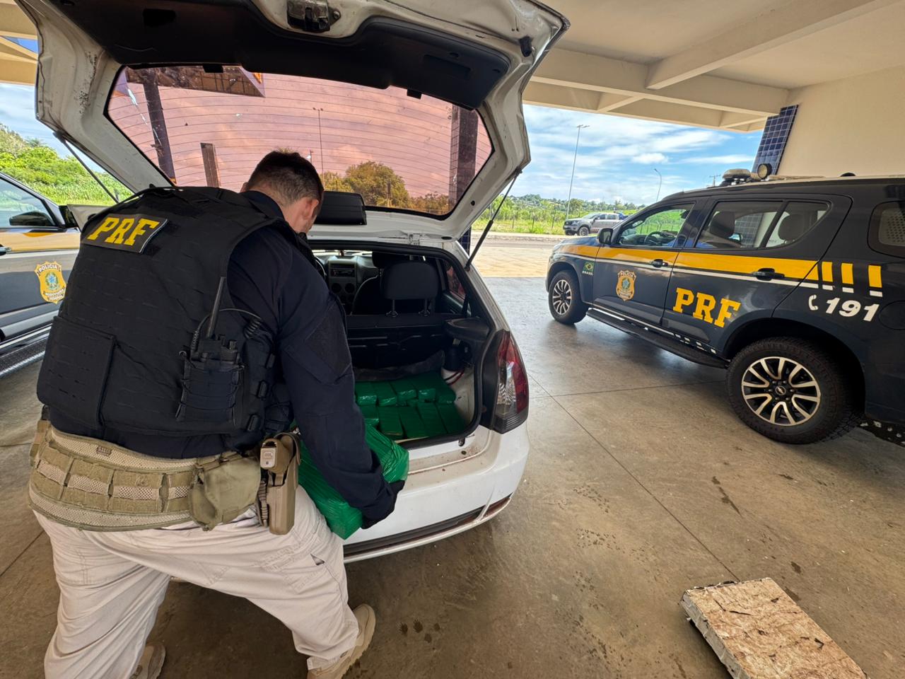 maconha alto paraiso