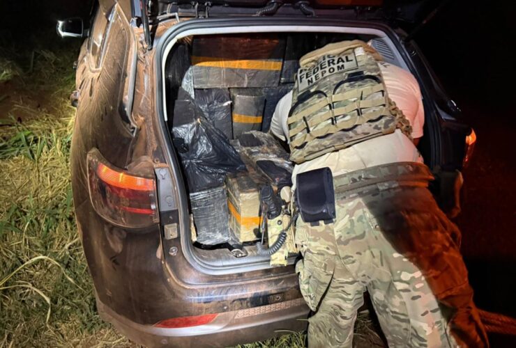 maconha itaipulandia