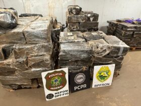 maconha santa helena