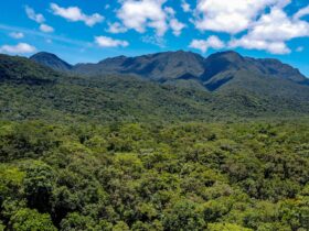 serra mar foto rdziura 0909 1