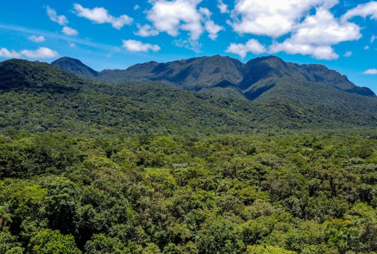 serra mar foto rdziura 0909 1