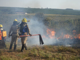 whatsapp image 2025 12 03 at 17.20.18 1