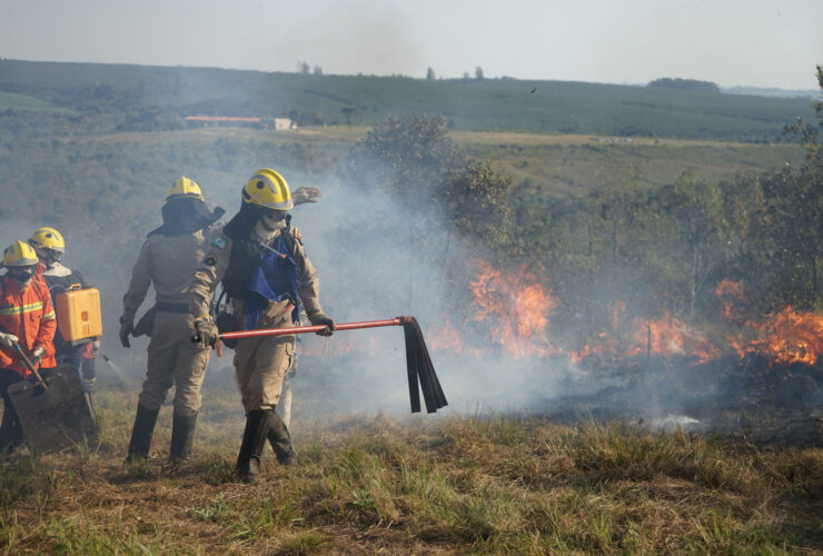 whatsapp image 2025 12 03 at 17.20.18 1