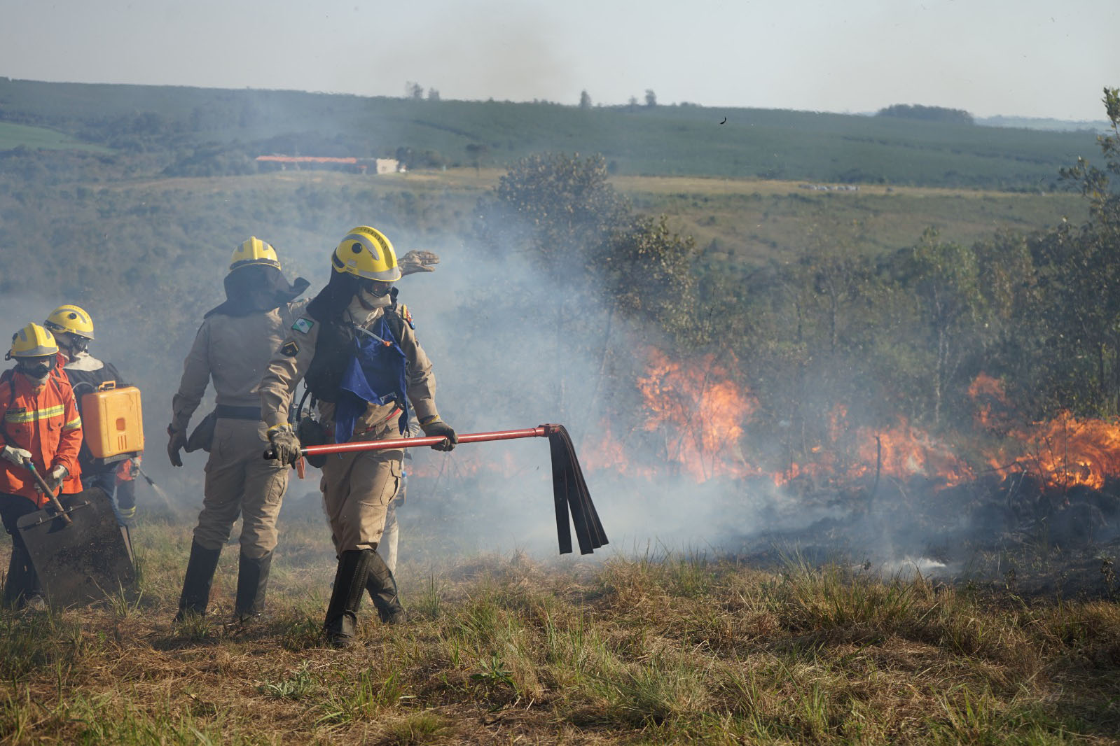Chuvas e conscientização da população reduzem em 41% incêndios florestais no Paraná 1 whatsapp image 2025 12 03 at 17.20.18 1