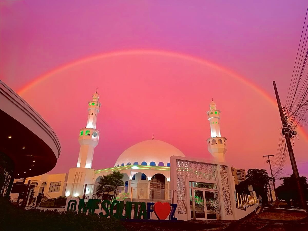 26f6fbce e86a 44e1 a5e4 ade007a31060