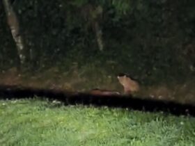 84941211 935a 4550 9a73 08ccf606bb21