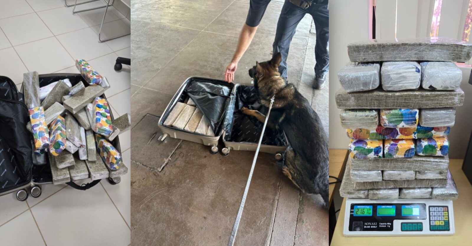 InShot 20260115 214116902