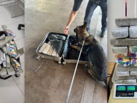 InShot 20260115 214116902