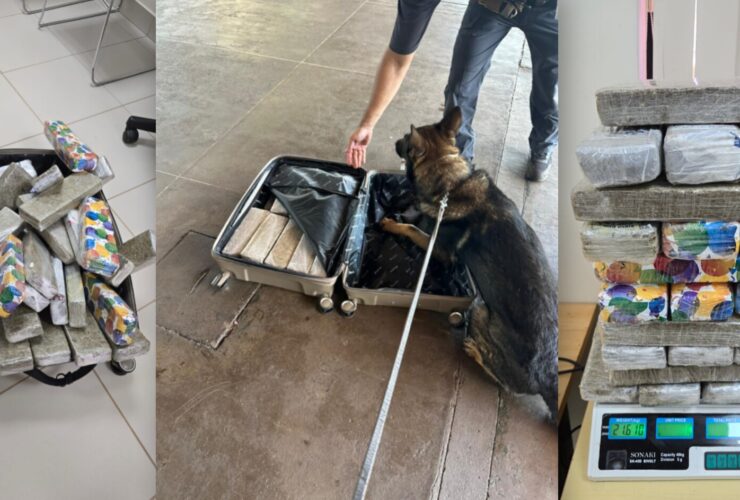 InShot 20260115 214116902