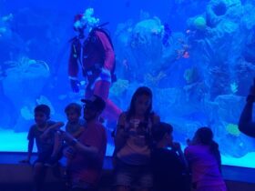 WhatsApp Image 2026 01 13 at 15.32.22