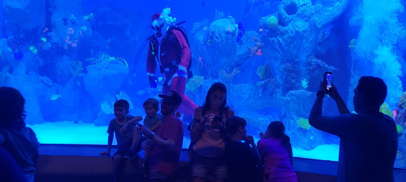 Com investimento de R$ 140 milhões, AquaFoz se torna um dos roteiros em alta em Foz do Iguaçu 1 WhatsApp Image 2026 01 13 at 15.32.22