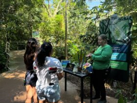 WhatsApp Image 2026 01 14 at 10.50.51