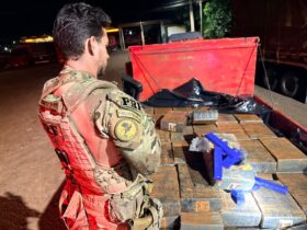 WhatsApp Image 2026 01 16 at 10.10.51