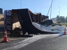 WhatsApp Image 2026 01 17 at 11.14.12