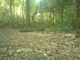 WhatsApp Image 2026 01 19 at 13.28.15