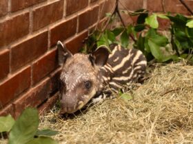 WhatsApp Image 2026 01 20 at 10.46.48