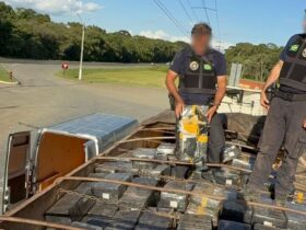 WhatsApp Image 2026 01 24 at 09.52.01