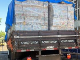 WhatsApp Image 2026 01 25 at 01.15.05