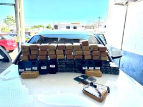 WhatsApp Image 2026 01 26 at 11.02.11