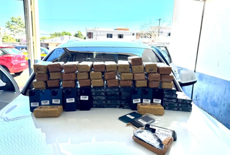 WhatsApp Image 2026 01 26 at 11.02.11