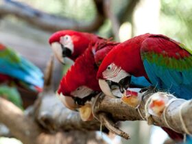 WhatsApp Image 2026 01 28 at 15.22.06