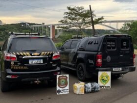 WhatsApp Image 2026 01 29 at 10.03.59