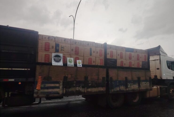 WhatsApp Image 2026 01 30 at 11.32.18