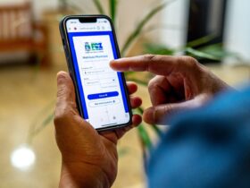 ZZZ PALMA DA MAO 1536x1024 1