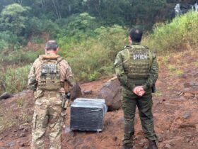 apreensoes rio parana