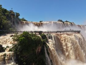 d4f6f57c b617 4e34 aa81 ebb84406d8d4