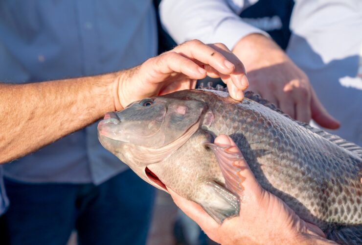 d6dbd491 ba49 40ab acb7 903ab6bd312e