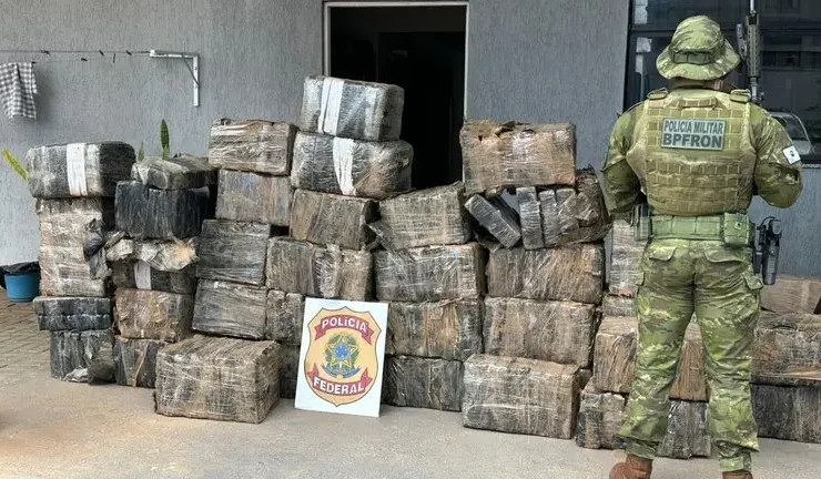 maconha campo mourao