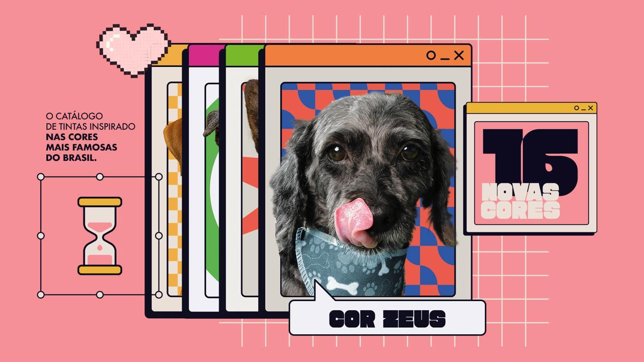 Feira de adoção Pet Colors em parceria com a ONG Vida Animal será em Foz do Iguaçu neste sábado, 28 1 Pet Colors Foz Tintas CapimAG 2