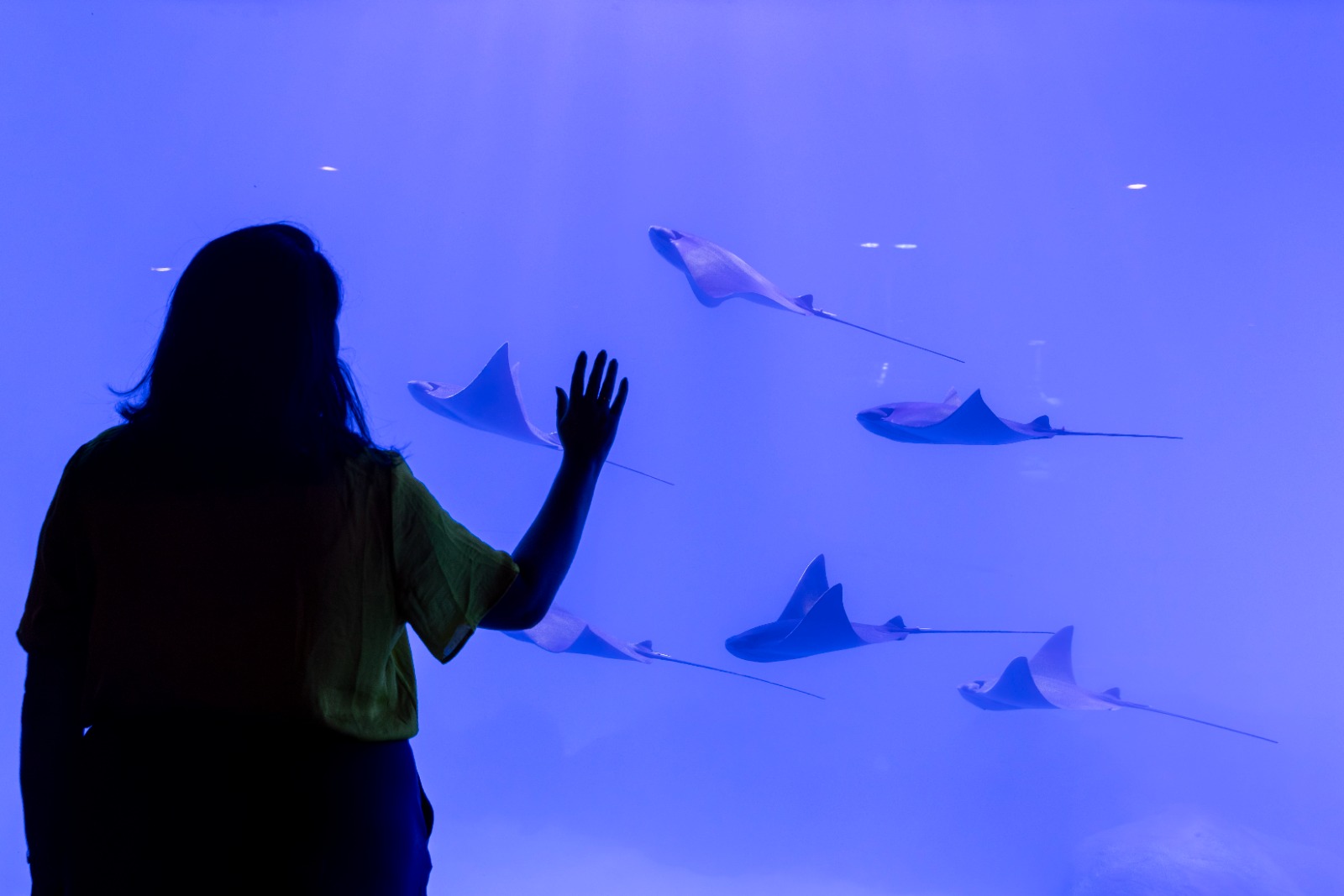 Janeiro histórico impulsiona turismo em Foz do Iguaçu, com mais de 155 mil visitantes no Marco e no AquaFoz 1 WhatsApp Image 2026 02 03 at 11.42.03